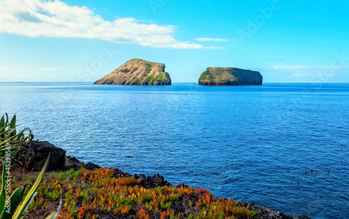 Les insulaires de chèvres, Île de Terceira, Açores

 photo