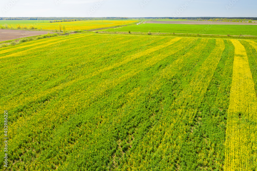 Fields. Sown fields. Square plots of fields. View from above. Aerial photography