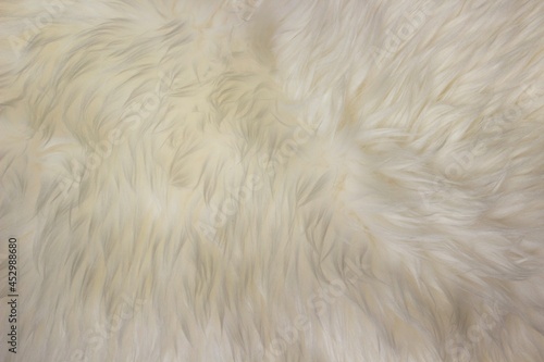 White fur texture. Fur texture. Warm fluffy fur background.