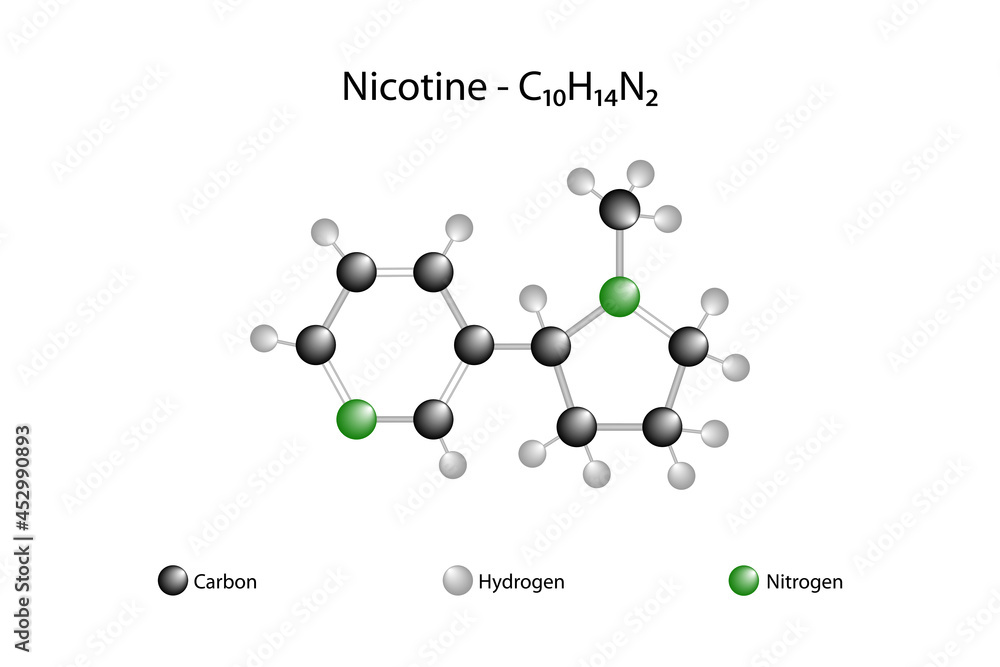 Molecular formula of nicotine. Nicotine is a potent stimulant and alkaloid found in the nightshade plant family.