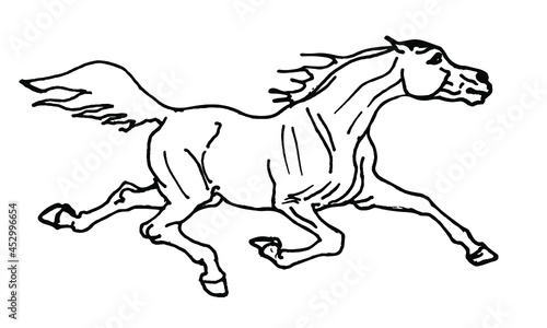drawing  white horse on white background  vector-isolated hand drawing