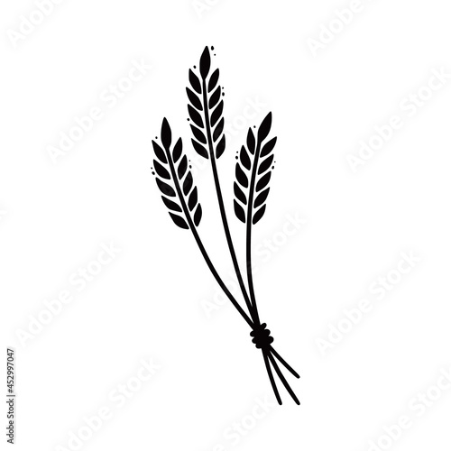 Wheat, barley, rice icon. Hand drawn sketch style oat with grain. Wheat isolated vector illustration.