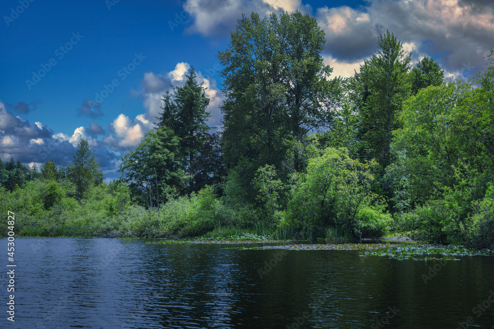 2021-08-25 A PACIFIC NORTHWEST LAKE WITH TREES, LILLY PADS AND A CLOUDY SKY 2021-08-25 A PACIFIC NORTHWEST LAKE WITH TREES, LILLY PADS AND A CLOUDY SKY