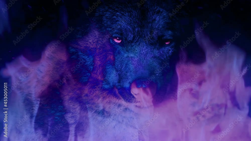 Wolf Growls In Flames And Psychedelic Colors VJ Abstract Wolf Growls In Flames And Psychedelic Colors VJ Abstract