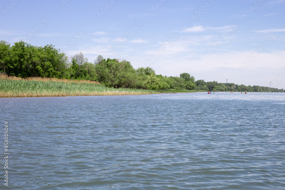 vue d'un bord de l'eau en été avec une foret et du gazon sur la rive en été avec un ciel bleu