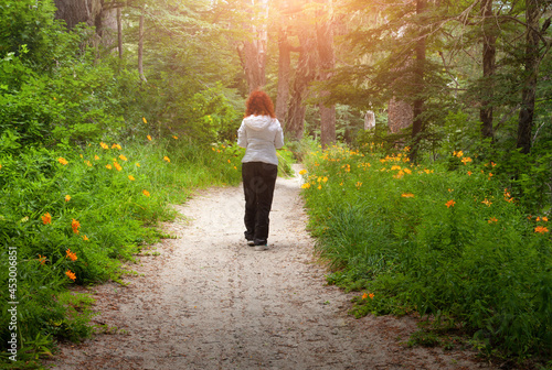 woman girl walking alone in the forest full of blooming yellow flowers and sun shining. Freedom adventure happiness concept idea.