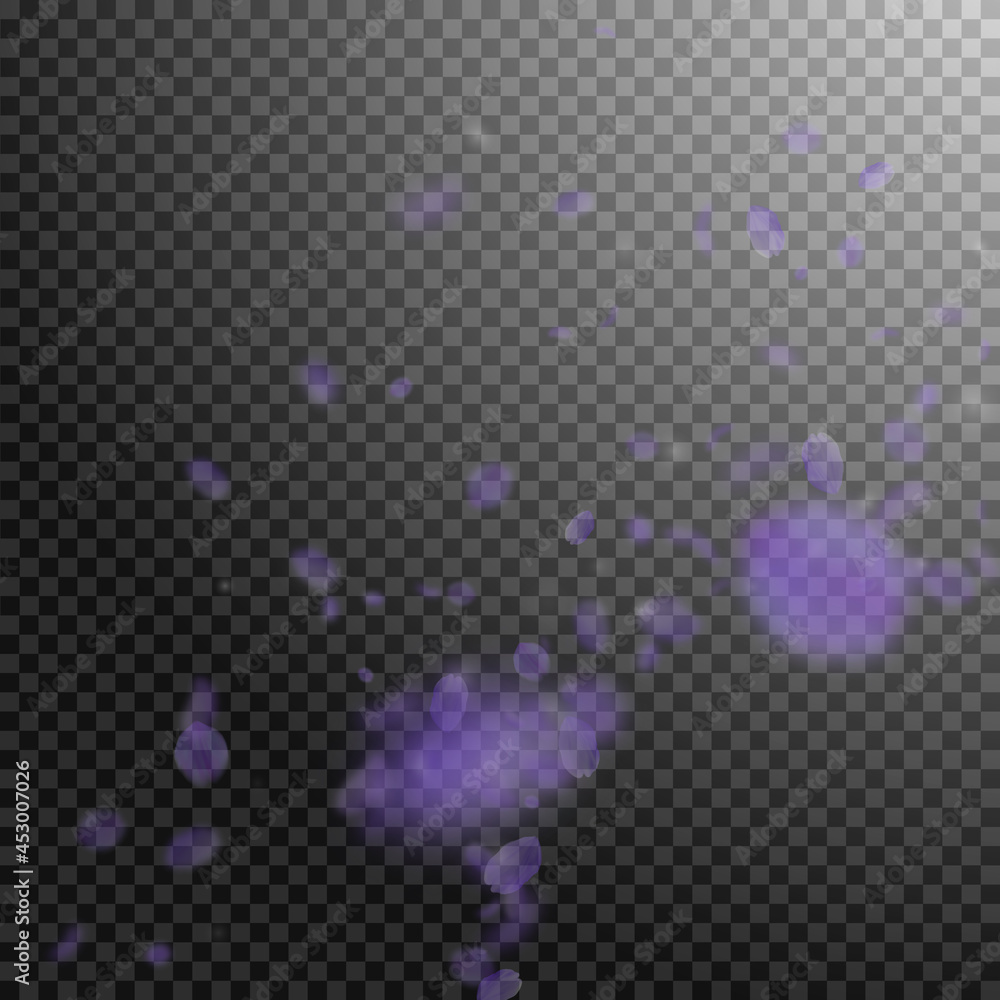 Violet flower petals falling down. Energetic roman Violet flower petals falling down. Energetic roman