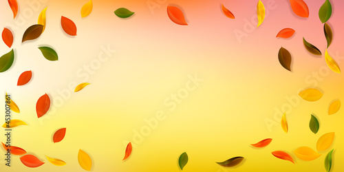 Falling autumn leaves. Red, yellow, green, brown n