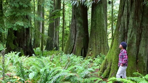 macmillan provincial park vancouver island photo