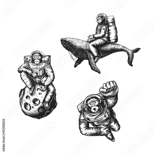 Monkey astronaut with a whale and a moon. Chimpanzee spaceman cosmonaut character. Fashionable animal. Hand drawn Engraved old monochrome sketch. Vector illustration for t-shirt, tattoo 