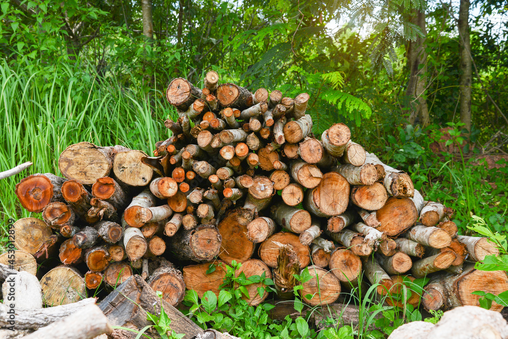 A pile of stacked firewood, prepared for heating the house, Firewood harvested for heating in winter, Chopped firewood on a stack, Firewood stacked and prepared for winter Pile of wood logs.