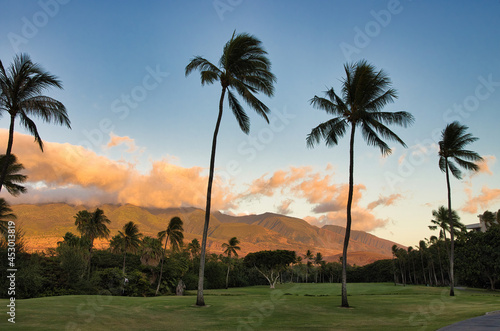 Fotografija Palm tree lined fairway at sunset with west maui mountains in the background