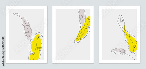 Minimalist botany poster template design, black banana leaves line art illust...