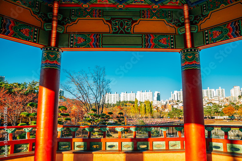 Obraz na płótnie Autumn of Busan Citizens Park in Busan, Korea w salonie