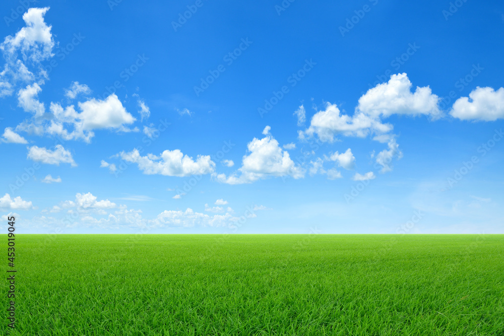 Green sloping meadows with blue sky and clouds background. Green sloping meadows with blue sky and clouds background.