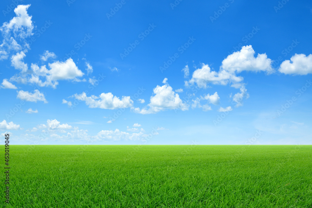 Green sloping meadows with blue sky and clouds background.