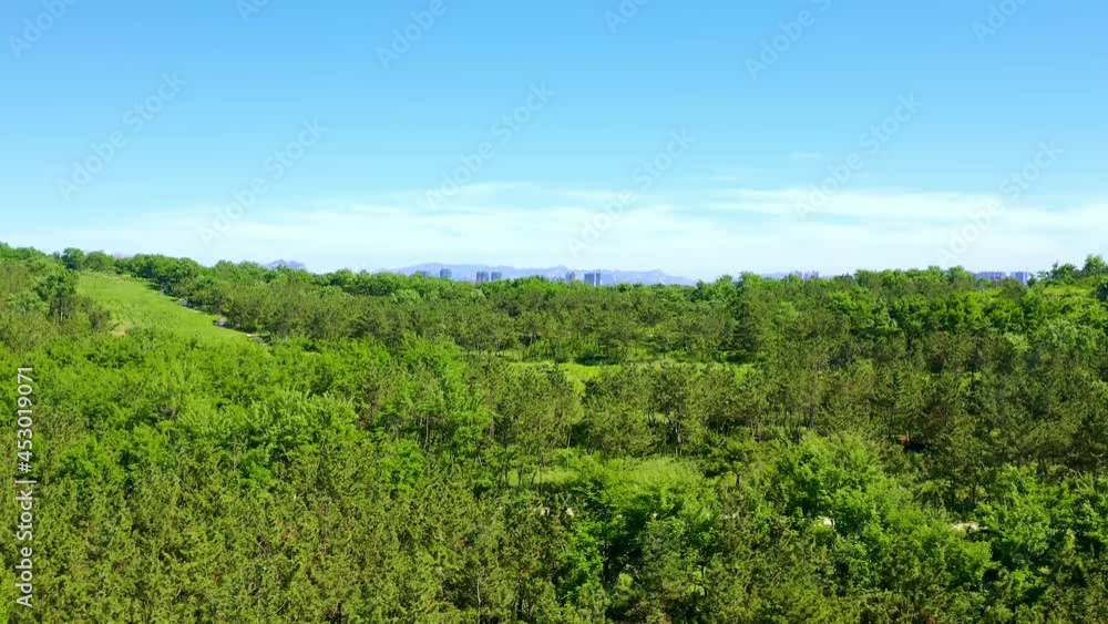 Drone flying over forest; beautiful lake and high-rise buildings of the city Drone flying over forest; beautiful lake and high-rise buildings of the city
