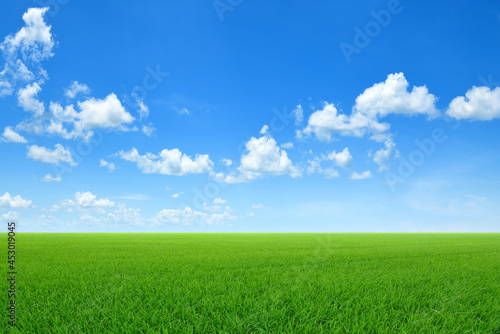 Green sloping meadows with blue sky and clouds background.