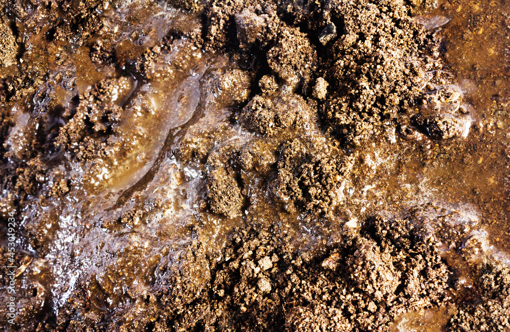 Closeup photo texture of dirt and mud, brown colored substance. Closeup photo texture of dirt and mud, brown colored substance.