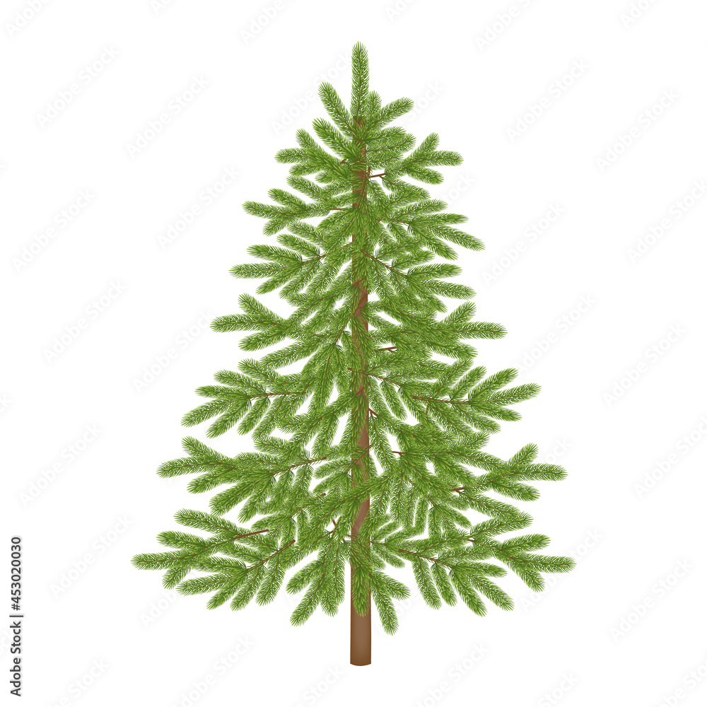 Isolated empty christmas tree for christmas backgrounds