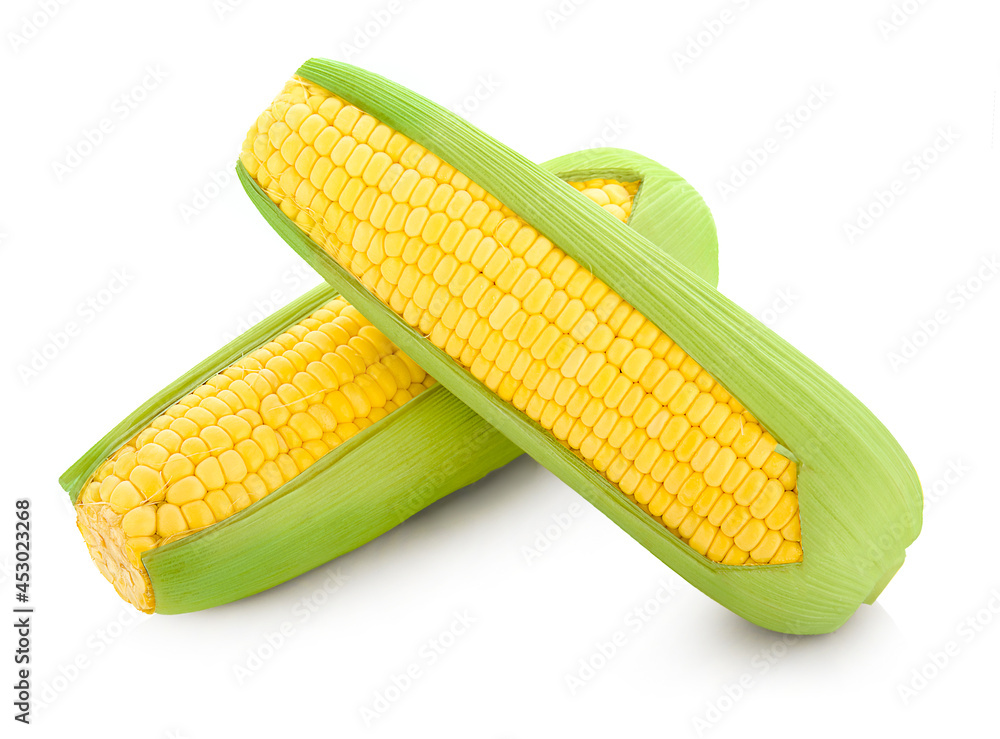 fresh raw corn cob isolated on white background