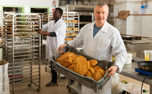 Experienced baker working in small bakery, carrying fresh baked bread in box ..