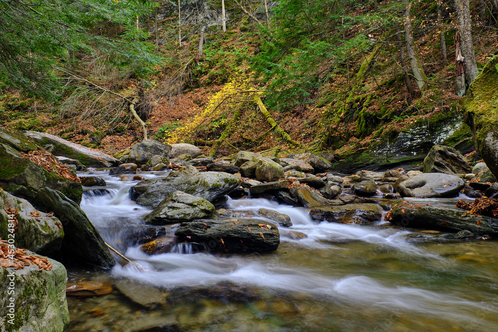 Moss covered rocks and colorful autumn leaves surround a brook with small cascades in the Vermont Forest near Stowe