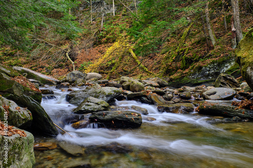 Moss covered rocks and colorful autumn leaves surround a brook with small cascades in the Vermont Forest near Stowe