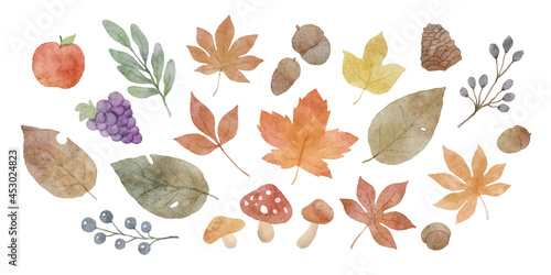 水彩風　紅葉と落ち葉の秋の植物のイラスト素材　セット