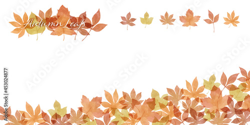 水彩風　紅葉と落ち葉の秋の植物のイラスト素材　セット