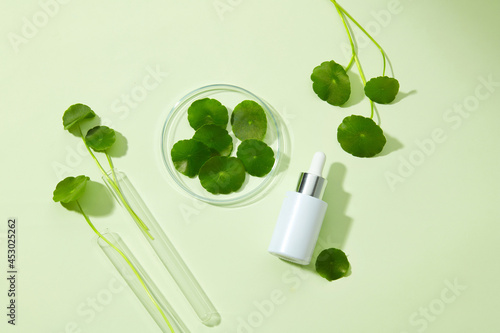  Glass petri dish and test tube with centella asiatica (gotu kola) extract and serum bottle mockup . Research and develop cosmetic production in the laboratory. Top view image