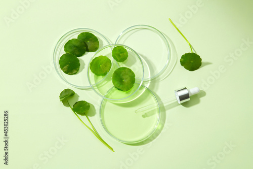 Glass petri dish and test tube with centella asiatica (gotu kola) extract. Research and develop cosmetic production in the laboratory. Top view image photo