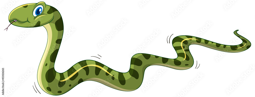Fototapeta premium Green snake cartoon character isolated on white background