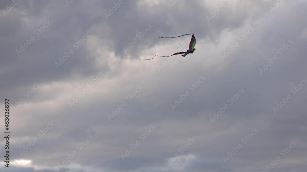 Colorful parrot kite flying against a moody dark sky. Colorful parrot kite flying against a moody dark sky.