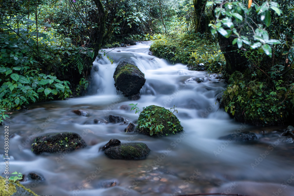 Obraz premium Cascading stream displaying its beauty