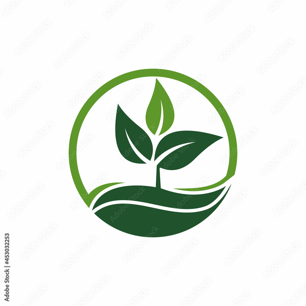 Leaf icon Vector Illustration design Logo template Leaf icon Vector Illustration design Logo template