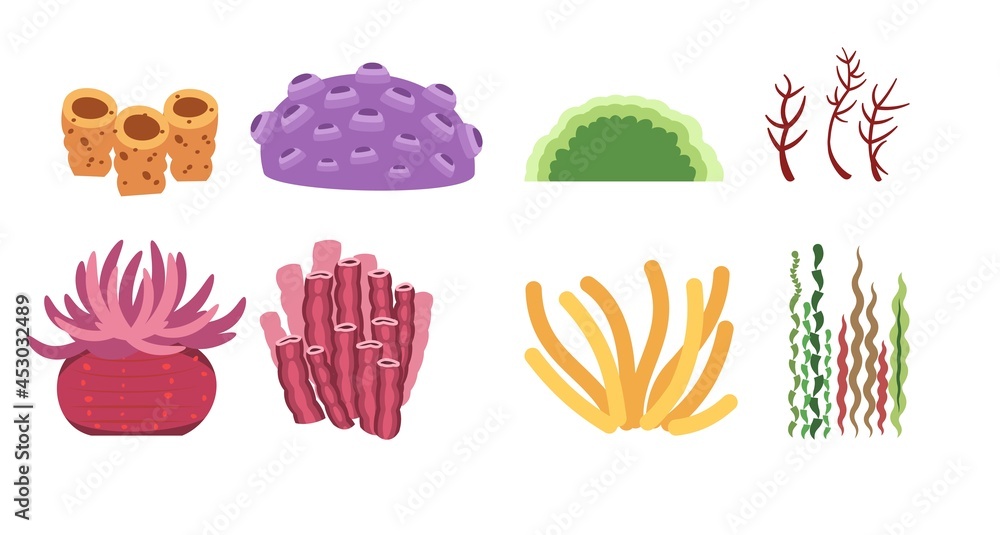Set of sea corals, plants and algae. Underwater world. Aquarium or pond. Summer water. Isolated on white background. Illustration in cartoon style. Flat design. Vector art