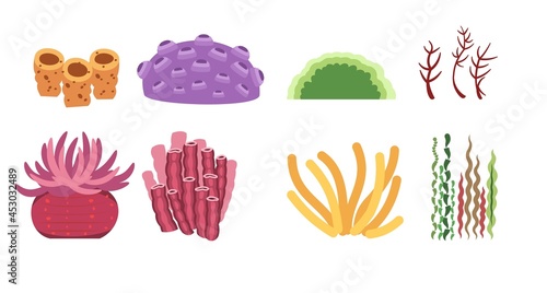 Set of sea corals, plants and algae. Underwater world. Aquarium or pond. Summer water. Isolated on white background. Illustration in cartoon style. Flat design. Vector art
