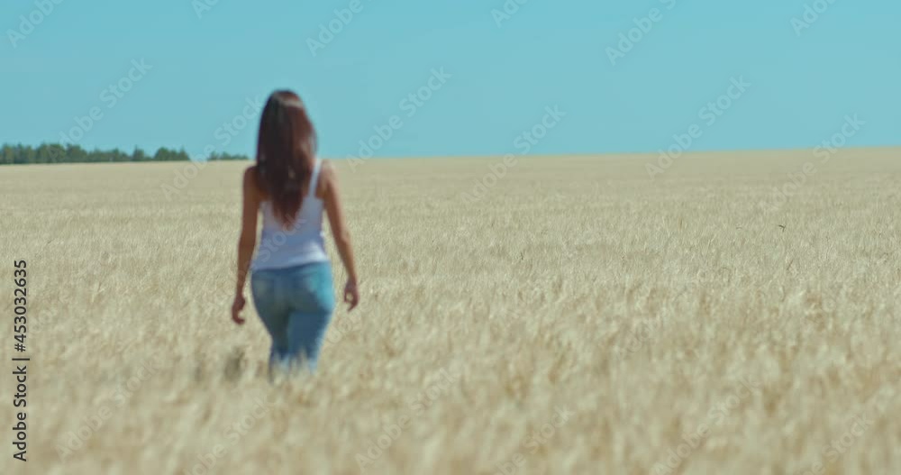 Slender girl in jeans is walking through a wheat field. Golden spikes in a boundless field, blue sky. Rear view. 4k, ProRes Slender girl in jeans is walking through a wheat field. Golden spikes in a boundless field, blue sky. Rear view. 4k, ProRes
