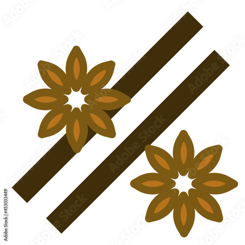 star anise flat icon