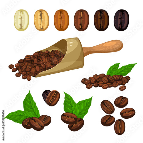 Coffee beans collection. Vector illustration cartoon flat icon set isolated on white background.