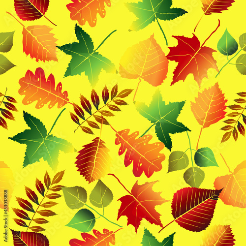Autumn illustration. Autumn seamless pattern. Vector cover with colorful falling leaves. Scrapbook, gift wrapping paper, textiles. Autumn leaves of maple, oak, birch with a seamless pattern.