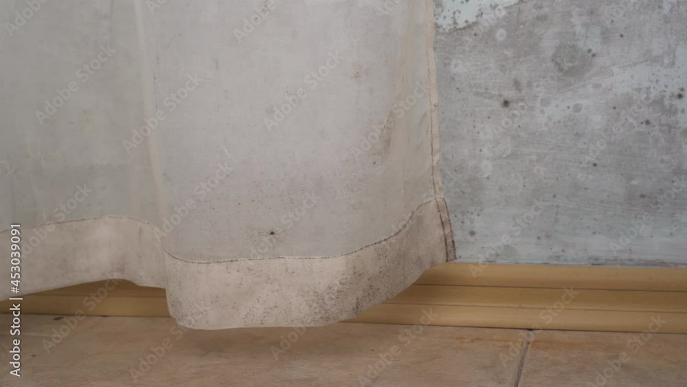 Covid19 and black fungus in India. Mildew in Shower Curtains. Toxic