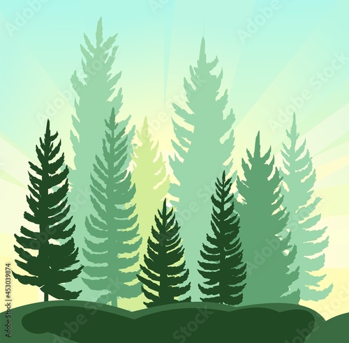 Forest Silhouette. Landscape with coniferous trees. Beautiful view. Pine and spruce trees. Summer natural scene. Illustration vector