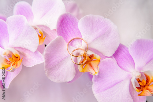 Wedding rings are on the purple orchids 