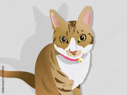 猫と暮らす幸せ
