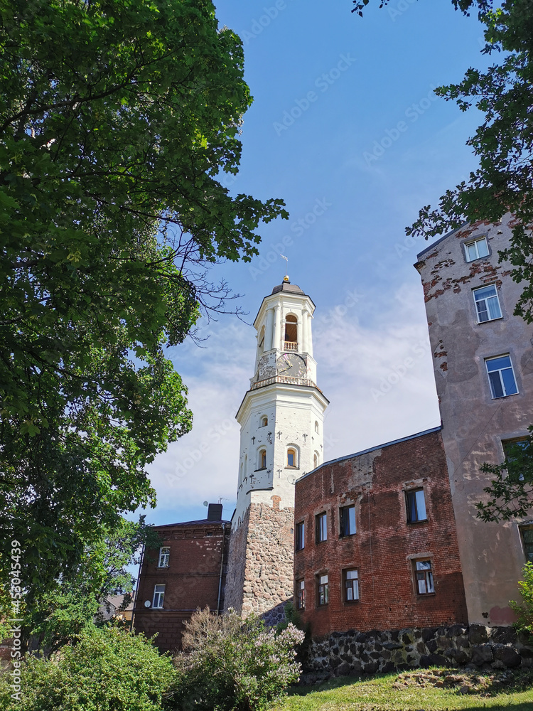 An old clock tower, a former bell tower, between the trees in the city of Vyborg on a clear summer day.