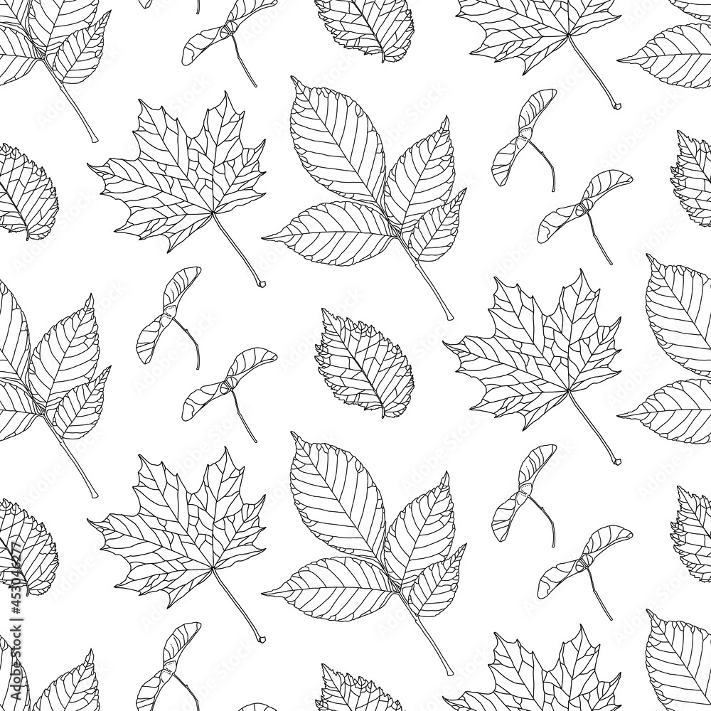 Hand-drawn pattern in black line graphics with various types of leaves on a white background. Vector illustration for textile print, wrapping paper, wallpapers, coloring. Hand-drawn pattern in black line graphics with various types of leaves on a white background. Vector illustration for textile print, wrapping paper, wallpapers, coloring.