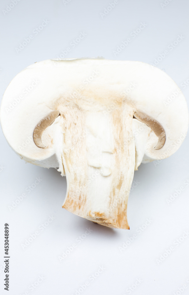 Fototapeta premium Close up photo of champignon mushrooms on white background. Mushroom cut in half, inside, macro view.