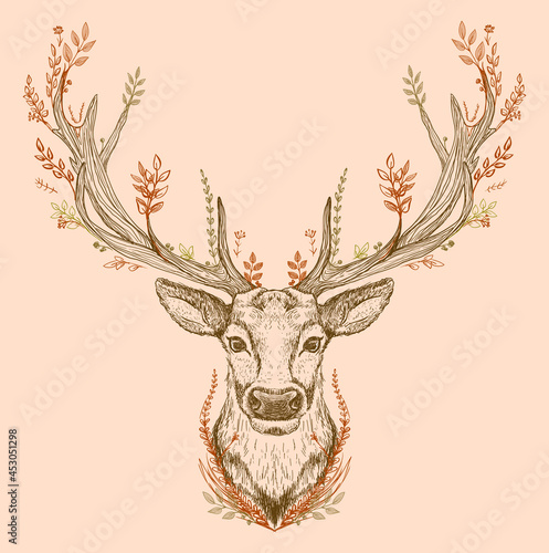 Wallpaper Mural Spirit of the forest graphic sketch illustration, deer portrait with big antlers Torontodigital.ca
